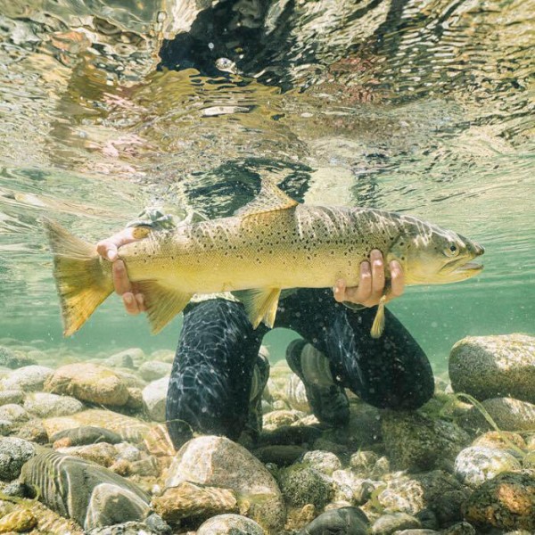 Maddie Brenneman holding trout